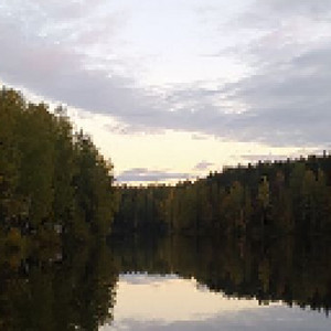 missä on kotini by kuusen aika