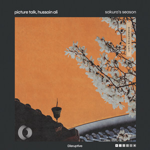 Feel The Sun by Picture Talk, Hussain Ali, Disruptive LoFi