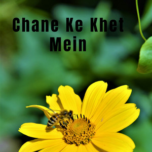 Farida Meer - Chehre Pe Tere Hai