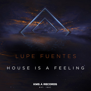 House Is A Feeling cover art