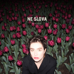 Ne Slova