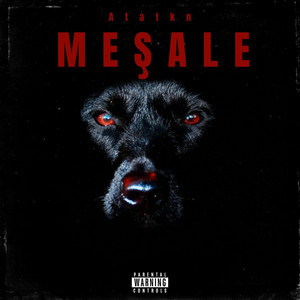 Meşale