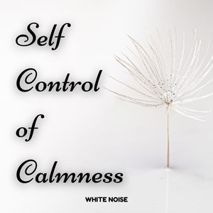 White Noise: Self Control of Calmness album