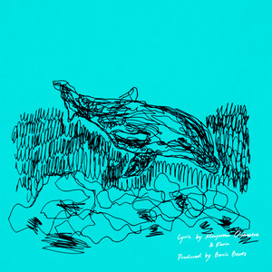 DOLPHIN by Marjoram Orchestra, Basic Beats