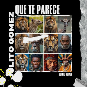 Que te parece by Julito Gomez