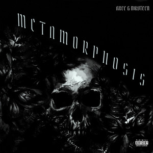 Metamorphosis