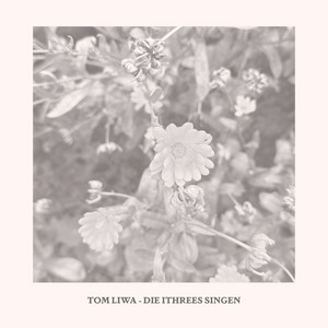 THREE LITTLE BIRDS by Tom Liwa