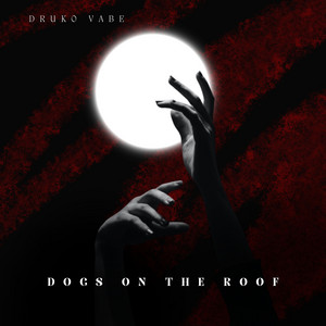 Dogs on the Roof by druko vabe