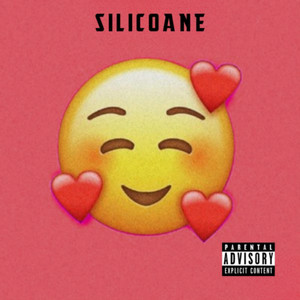 Silicoane