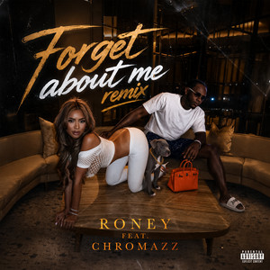Forget About Me - Remix by Roney, Chromazz