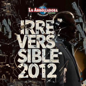 Portada de Irreversible