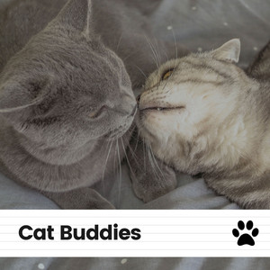 Cat Buddies album