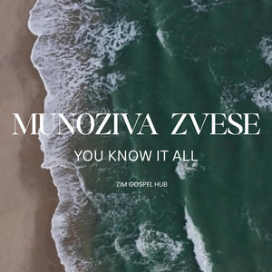 Munoziva Zvese | You Know It All | Nothing Is Hidden From God by Zim Gospel Hub