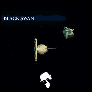 Black Swan by Kondo