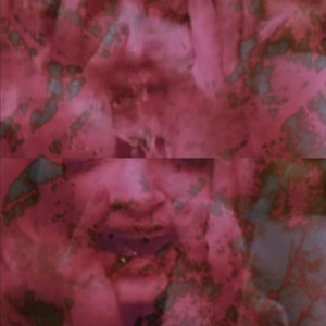 Blossom by Blossom