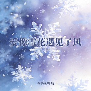爱像雪花遇见了风 by 叶辰, 毒药