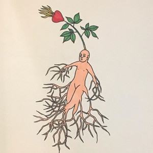 Portada de Growth
