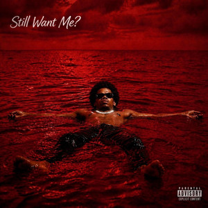Still Want Me? by Matt Lansky