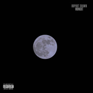 Portada de Midnight