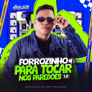 Forrozinho Minha Vida É Você - Cover