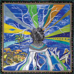 album cover: Janus