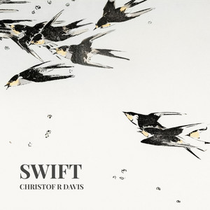 Swift - Solo Piano by Christof R Davis