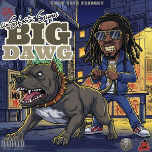 Big Dawg - song and lyrics by 6ixshoota Sippi | Spotify