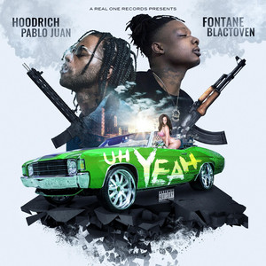 Fontane cover
