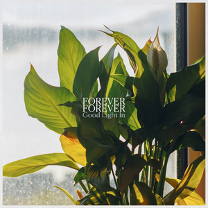 Good Light In by Forever Forever