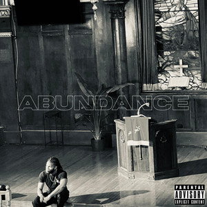 Portada de Abundance