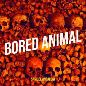Bored Animal by Samuel Ansaloni