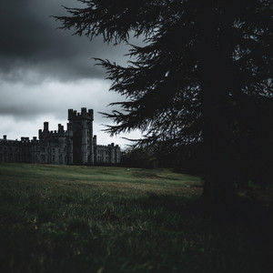 alone again by Friedrich von Hagen