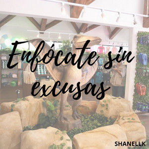 Enfócate sin excusas by Adri Queen