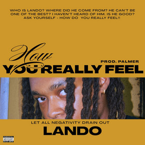 How You Really Feel by Lando