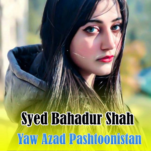 Syed Bahadur Shah - Biya Ba Wakare Armanona