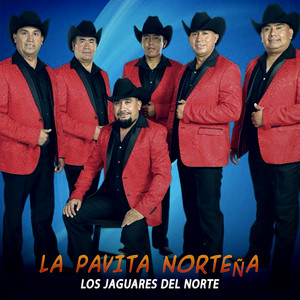 Los Indomables De Cedral - La Pavita Norteña