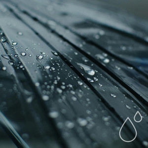 Rainy Coastline by Hydrometry