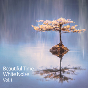 Beautiful Time White Noise, Vol. 1 album