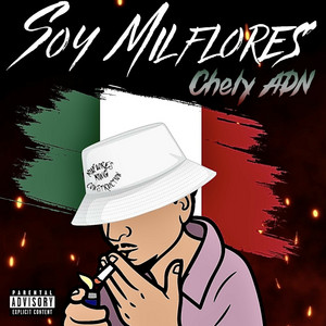 Soy Milflores