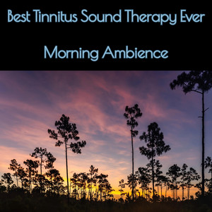 Best Tinnitus Sound Therapy Ever Morning Ambience by Paul Harrison Mcr