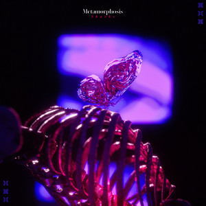 Butterflies - VIP by Sharks