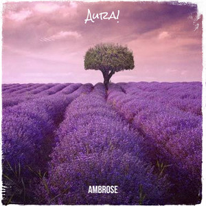 Ambrose - Aura!