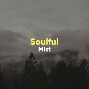 # 1 Album: Soulful Mist album