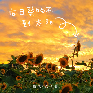 向日葵吻不到太阳 by 潘成（皮卡潘）