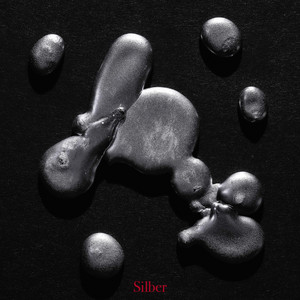 Portada de Silber