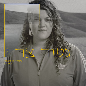גשר צר by צהלה