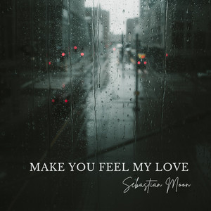 Make You Feel My Love by Sebastian Moon
