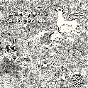 of Montreal — Already Dreaming (2026)