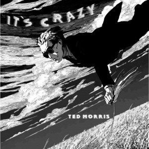 It's Crazy by Ted Morris
