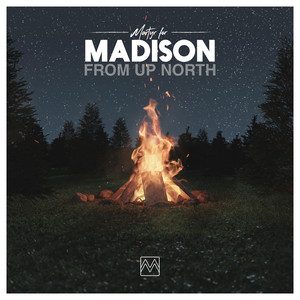 I Can't Love You Anymore by Martyr for Madison